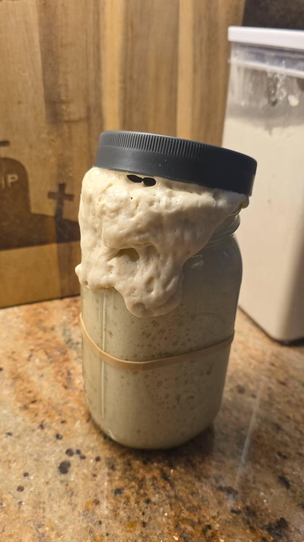 Dehydrated Sourdough Starter