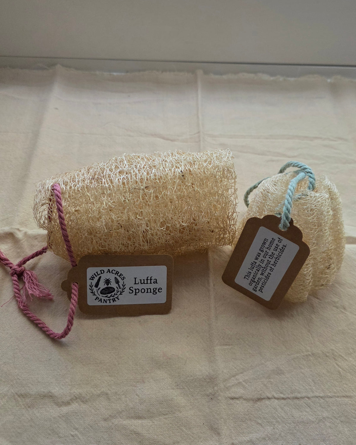 Luffa Sponge