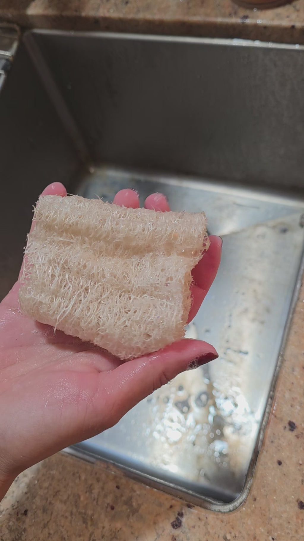 Luffa Sponge